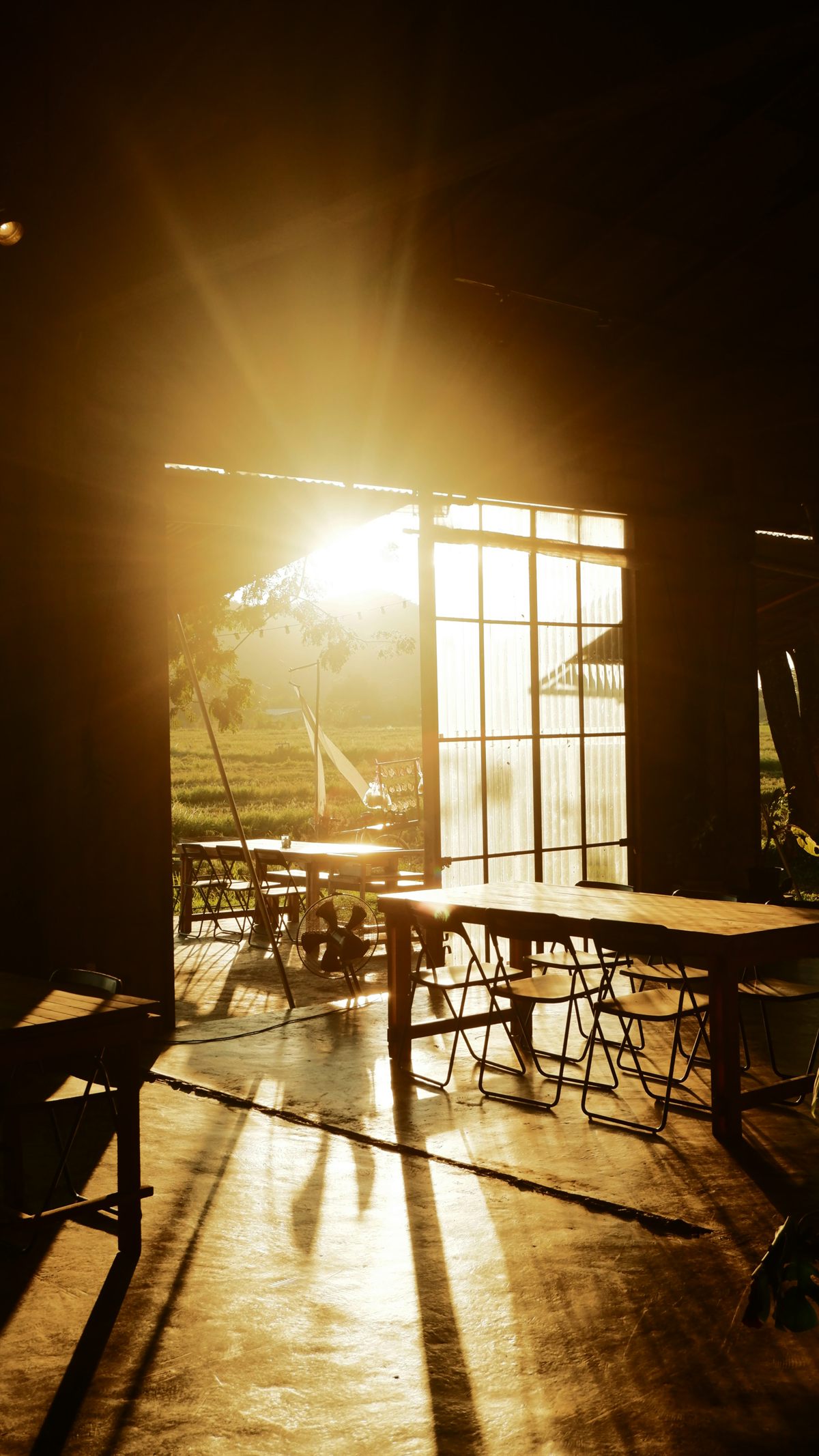 Warm evening light over a shared local table